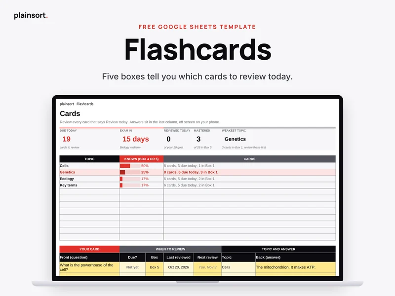 Flashcards template preview